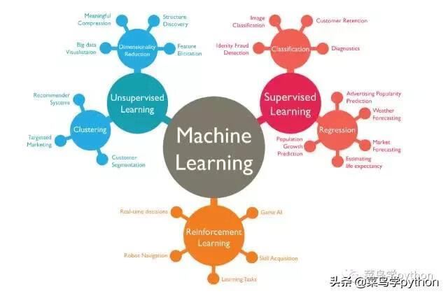 菜鸟学编程先学什么(菜鸟教程网)