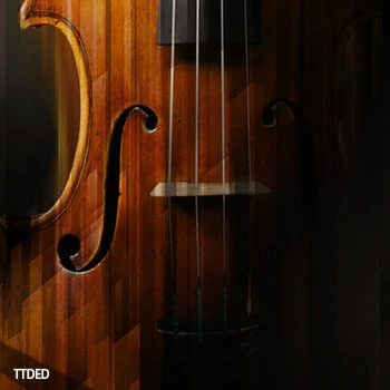 [小提琴音源]Native Instruments Stradivari Violin v1.0.0 [KONTAKT]（21.84Gb）