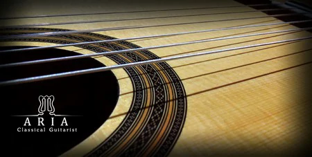 Aria Sounds Classical Guitarist KONTAKT