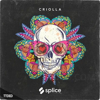 [拉丁打击乐采样]Splice Originals Criolla Latin Percussion [WAV]（485Mb）