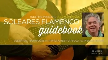 Truefire Ellis Paul Acoustic Coffeehouse Open D TUTORiAL
