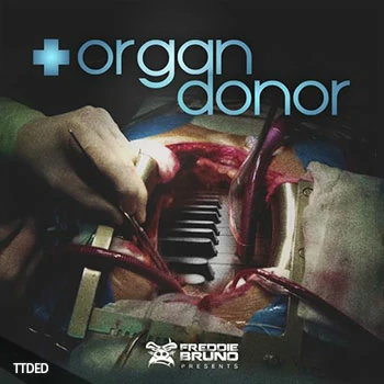 [嘻哈陷阱采样]Freddie Bruno Organ Donor [WAV]（127Mb）