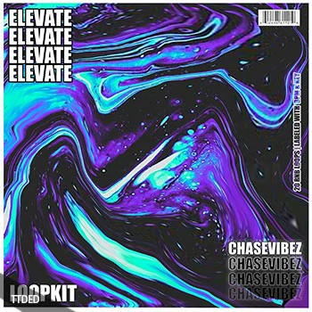 [RnB采样]Chase Vibez Elevate RnB LoopKit [WAV]（867Mb）