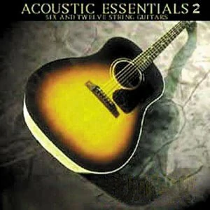 Bigga Giggas Accoustic Essentials Vol.2 KONTAKT