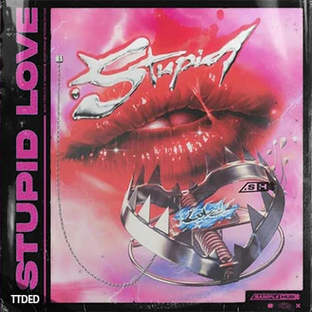 [嘻哈陷阱采样]Sample Hub Stupid Love [WAV]（53Mb）