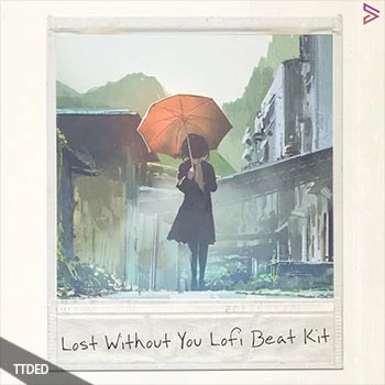 [氛围嘻哈采样]Digital Felicity Lost Without You Lo-Fi Beat Kit [WAV]（753Mb）