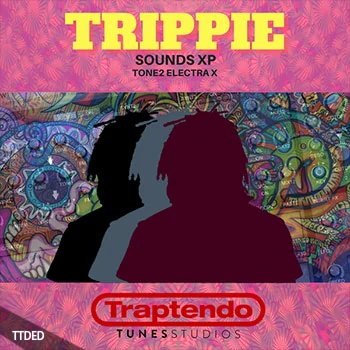 [Electra预置氛围RnB奇幻贝斯]Ave Mcree Trippie Sounds XP for Tone2 ElectraX 2.5（693Kb）