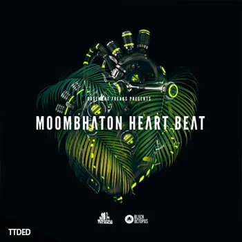 [Moombahton穆巴松雷鬼采样]Black Octopus Moombahton Heart Beat By Basement Freaks [WAV]（409Mb）
