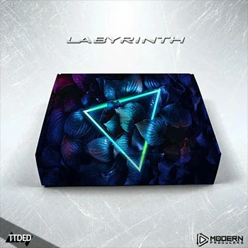 [流行嘻哈陷阱RnB素材]Modern Producers Labyrinth (MIDI and Stem Kit) [WAV, MiDi]（662Mb）
