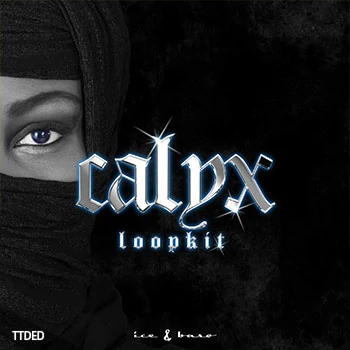 [民族乐器LOOP采样]Basobeats + Icemelodies Calyx Loop Kit [MP3]（31Mb）