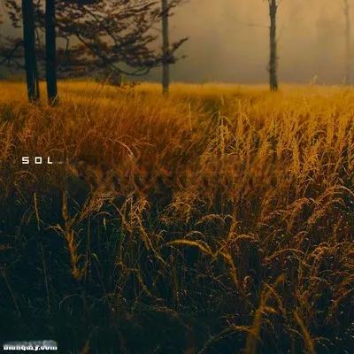 KAN Samples Soulvibe Vol.1 WAV