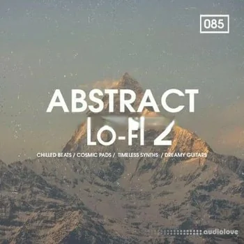 Bingoshakerz Abstract Lo-Fi 2 [WAV, MiDi, REX]
