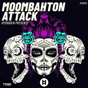 [Moombahton穆巴松雷鬼电音素材Serum预置]HY2ROGEN Moombahton Attack [多格式]（2.44Gb）