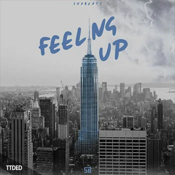 [Trap素材Sylenth1预置]Shobeats Feeling Up [WAV, MiDi]（185Mb）