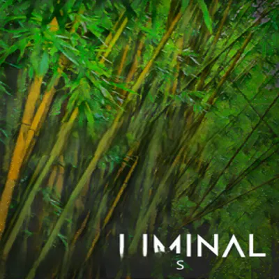长笛 – Crocus Soundware LIMINAL Winds KONTAKT