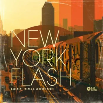Black Octopus Sound New York Flash WAV-DISCOVER