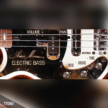 [电贝司音源插件]Adam Monroe Music Electric Bass v1.3 [WiN, MacOSX]（19.37Gb）
