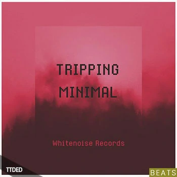 [简约科技浩室采样]Whitenoise Records TRIPPING MINIMAL Beats [WAV]（58Mb）