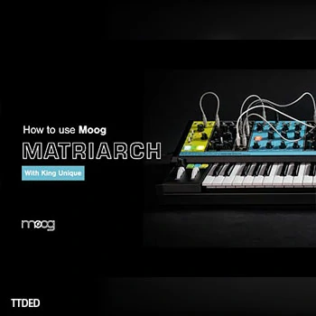 [教程]Sonic Academy Moog Matriarch with King Unique（1.72Gb）