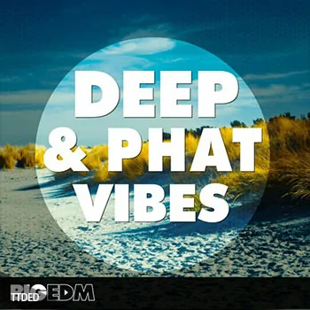 [DEEP深邃浩室素材Sylenth1预置]Big EDM Deep And Phat Vibes [WAV, MiDi]（840Mb）