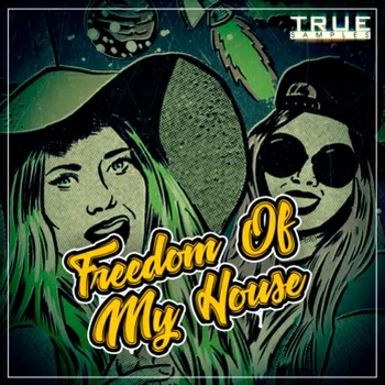 True Samples Fractured Progressive WAV MiDi SYLENTH1 SPiRE MASSiVE