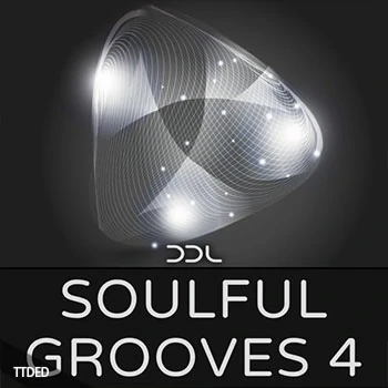 [灵魂RnB素材]Deep Data Loops Soulful Grooves 4 [WAV, MiDi]（273Mb）