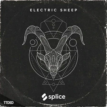 [流行拉丁休闲热带舞曲采样]Splice Originals Electric Sheep [WAV]（573Mb）