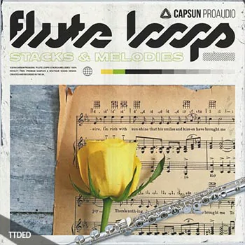 [嘻哈长笛旋律音色LOOP]Capsun ProAudio Flute Loops Stacks and Melodies [WAV]（368Mb）
