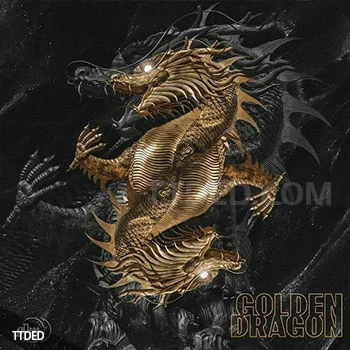 [嘻哈陷阱采样]2DEEP Golden Dragon [WAV]（69Mb）