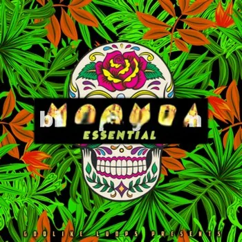 Godlike Loops Moomba Essential WAV MiDi-DISCOVER