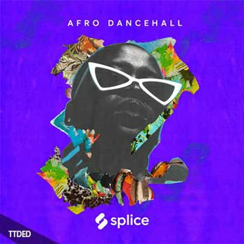 [拉丁乐采样Serum预置]Splice Sessions Afro Dancehall with Iss 814 [WAV]（743Mb）