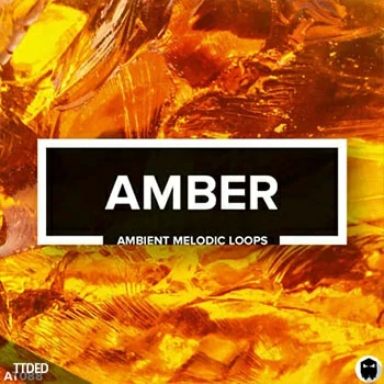 [环境氛围旋律LOOP采样]Audiotent Amber Ambient Melodic Loops [WAV]（583Mb）