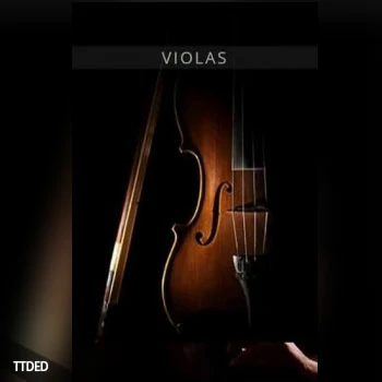 [欧洲弦乐中提琴音源]Auddict United Strings of Europe Violas [KONTAKT]（3.94Gb）
