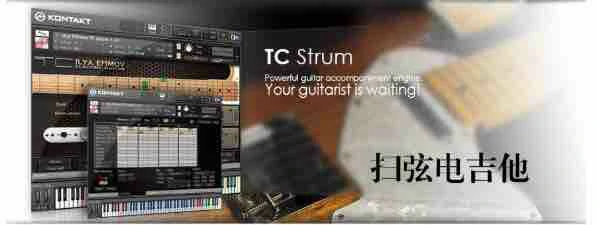 【扫弦电吉他】Ilya Efimov TC Strum KONTAKT