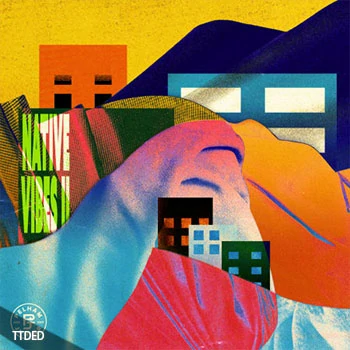 [灵魂嘻哈采样]Pelham and Junior Native Vibes 2 [WAV]（356Mb）