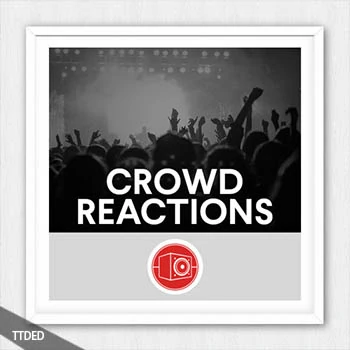 [群众反应FX采样]Big Room Sound Crowd Reactions [WAV]（906Mb）