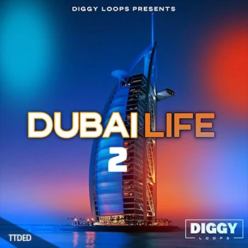 [灵魂RnB采样]Diggy Loops Dubai Life 2 [WAV]（165Mb）