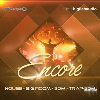 VIP Loops – Encore MULTiFORMAT