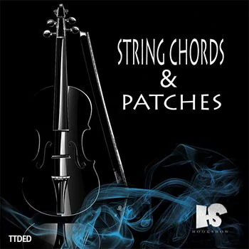 [灵魂RnB弦乐和弦采样]HOOKSHOW String Chords and Patches [WAV]（120Mb）