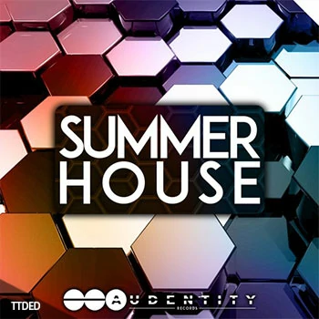 [深邃浩室素材Massive预置Serum预置Spire预置]Audentity Summer House [WAV, MiDi]（128Mb）
