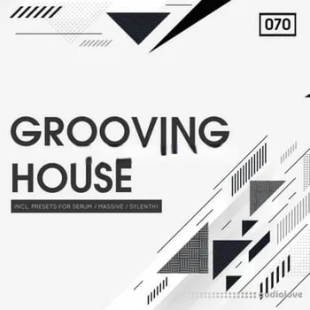 Bingoshakerz Grooving House [WAV, Synth Presets]
