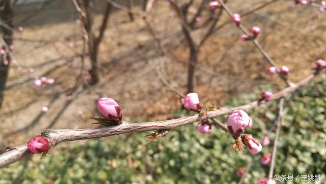 天津宝坻风水如何样(天津宝坻风水好不好)