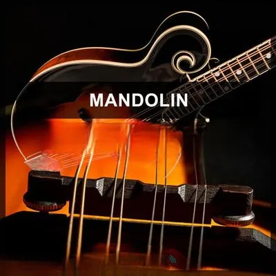 Steinberg Mandolin VSTSOUND