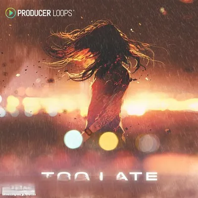 Producer Loops Too Late MULTiFORMAT-DECiBEL