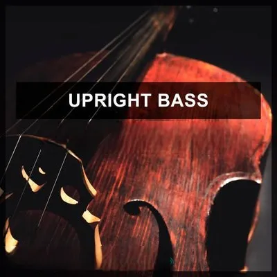 Steinberg Upright Bass 2 VSTSOUND