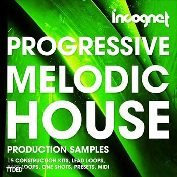 [前卫浩室素材][Sylenth1预置Massive预置Serum预置Spire预置]Incognet Progressive and Melodic House [WAV, MiDi]（572Mb）