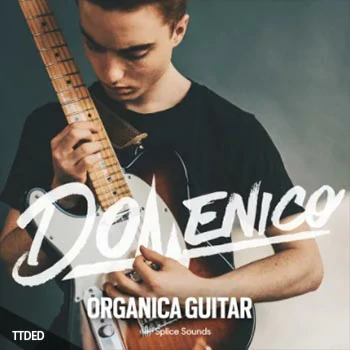 [RnB吉他采样]Splice Sounds DOMENICO Organica Guitar [WAV](394Mb)