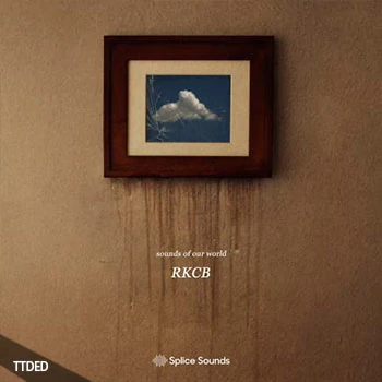 [灵魂RnB采样]Splice Sounds RKCB Sounds of Our World [WAV]（256Mb）