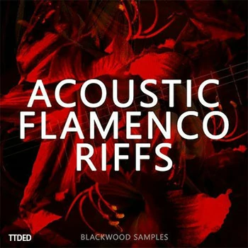 [拉丁吉他Riffs采样]Blackwood Samples Acoustic Flamenco Riffs [WAV]（147Mb）