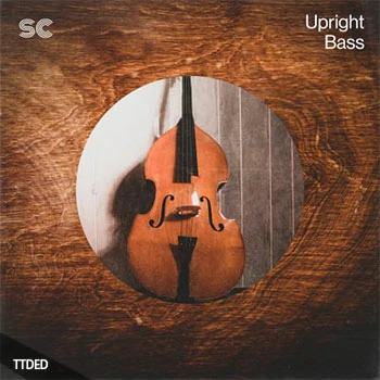 [爵士布鲁斯低音提琴竖贝斯采样]Sonic Collective Upright Bass [WAV]（796Mb）